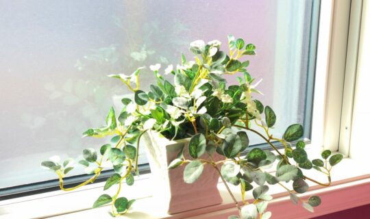 家の熱をデザインする